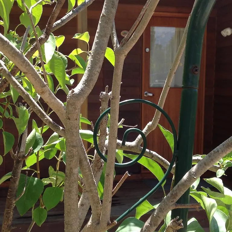 The Cook Cottage Canberra Holiday home